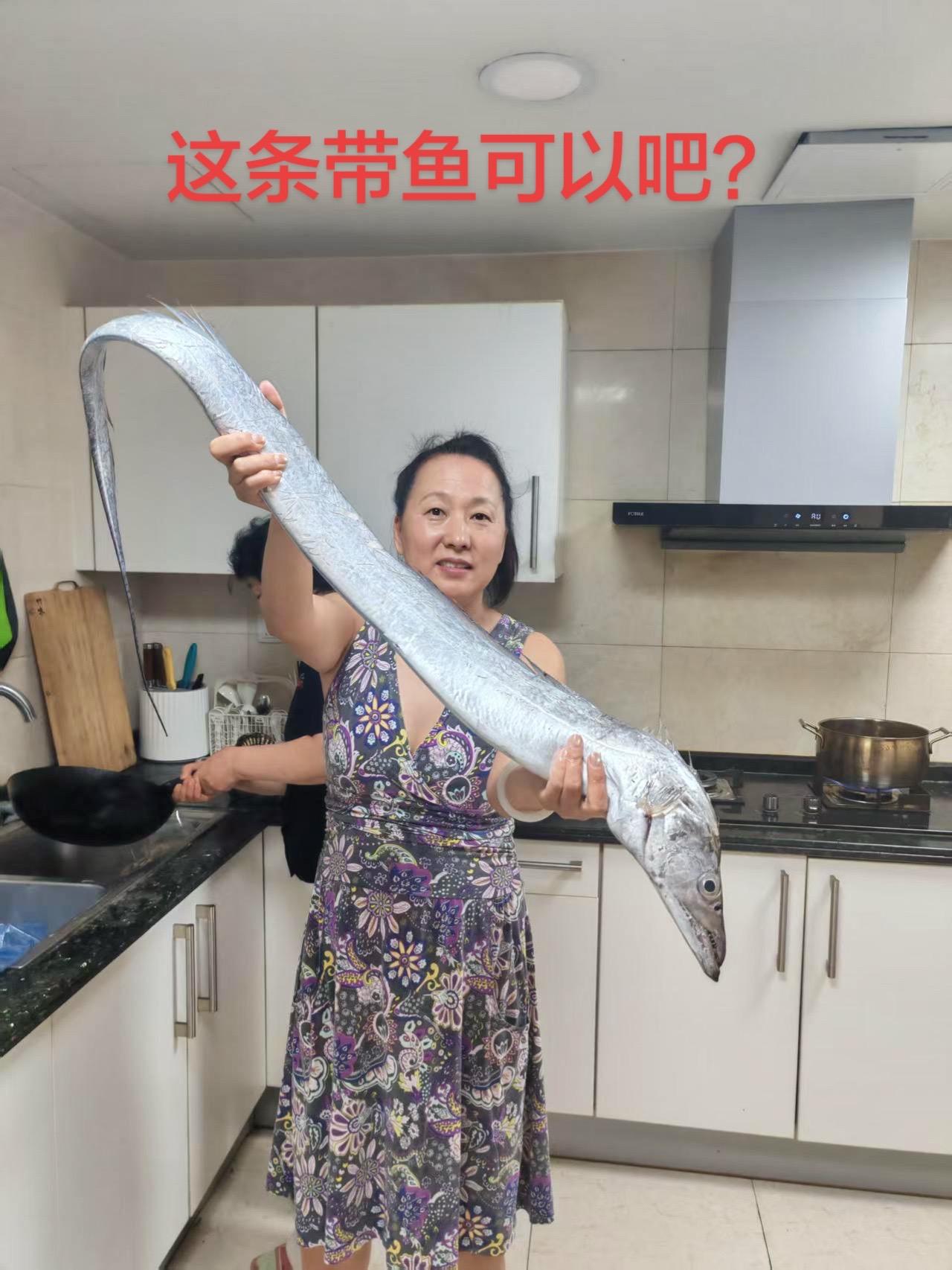 野生大带鱼，怎么吃啊？美食 好吃到停不下来 好玩