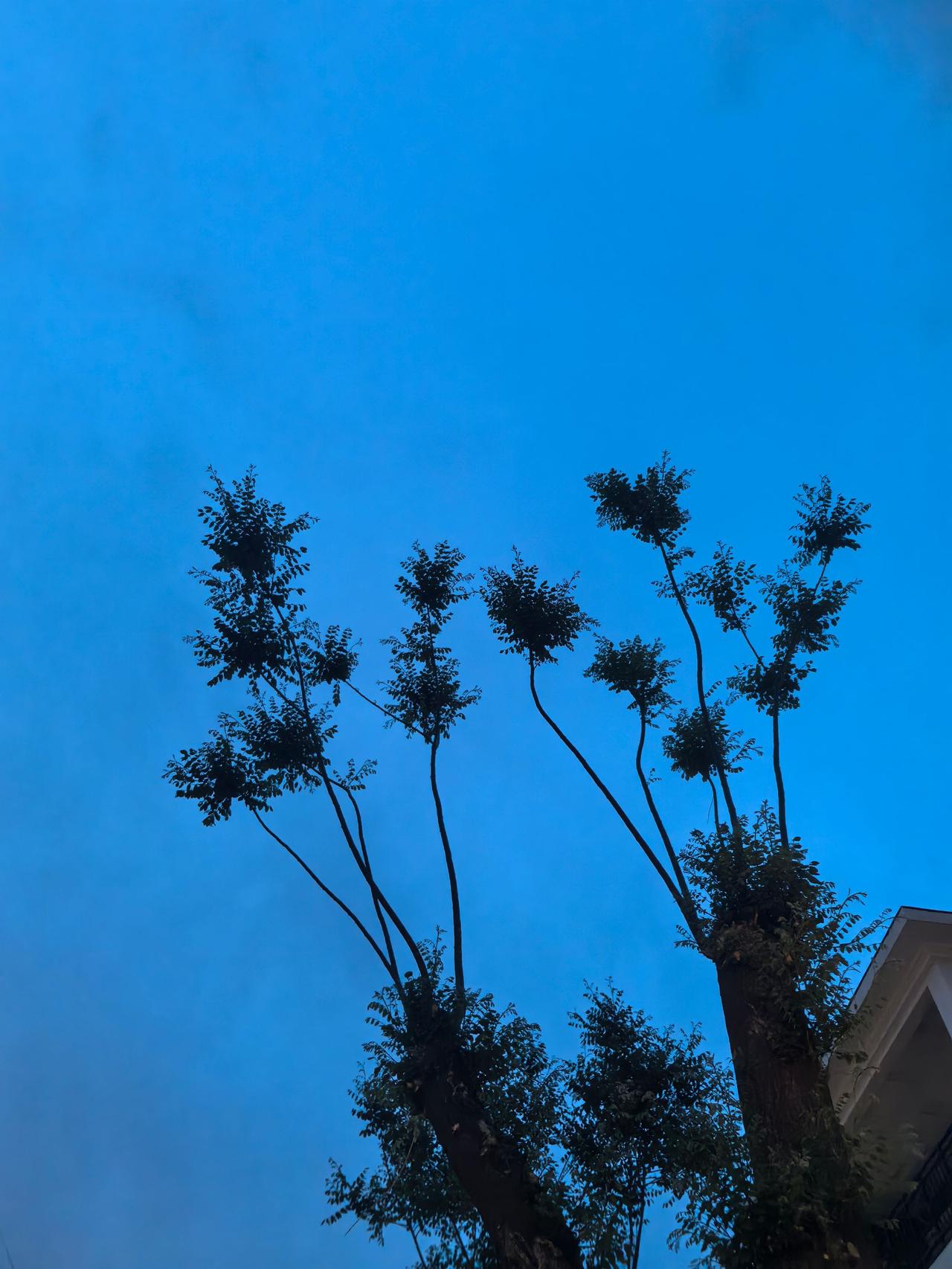 自信是成功的源泉；自省是成长的阶梯；自强是进取的前奏；自豪是未来的序曲。用心去触