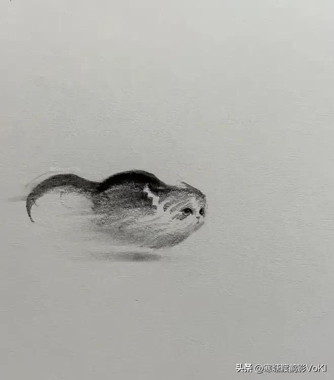 花了八千大洋让六岁的儿子在美术班学习了半年，今天让他画一幅画给我看。他问我画什么