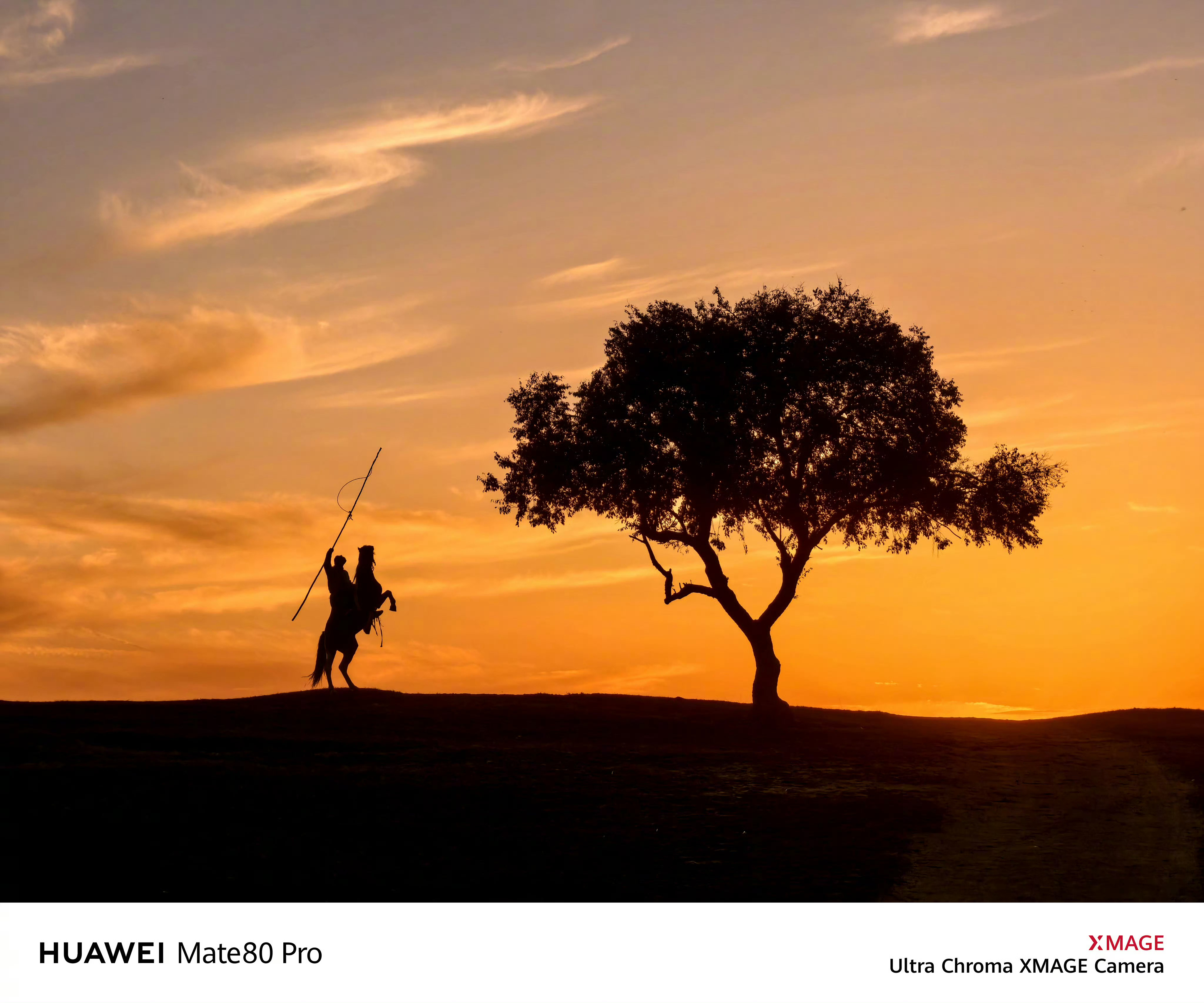 系列大片来了感受一下红枫魅力，色彩还原度很棒！ 