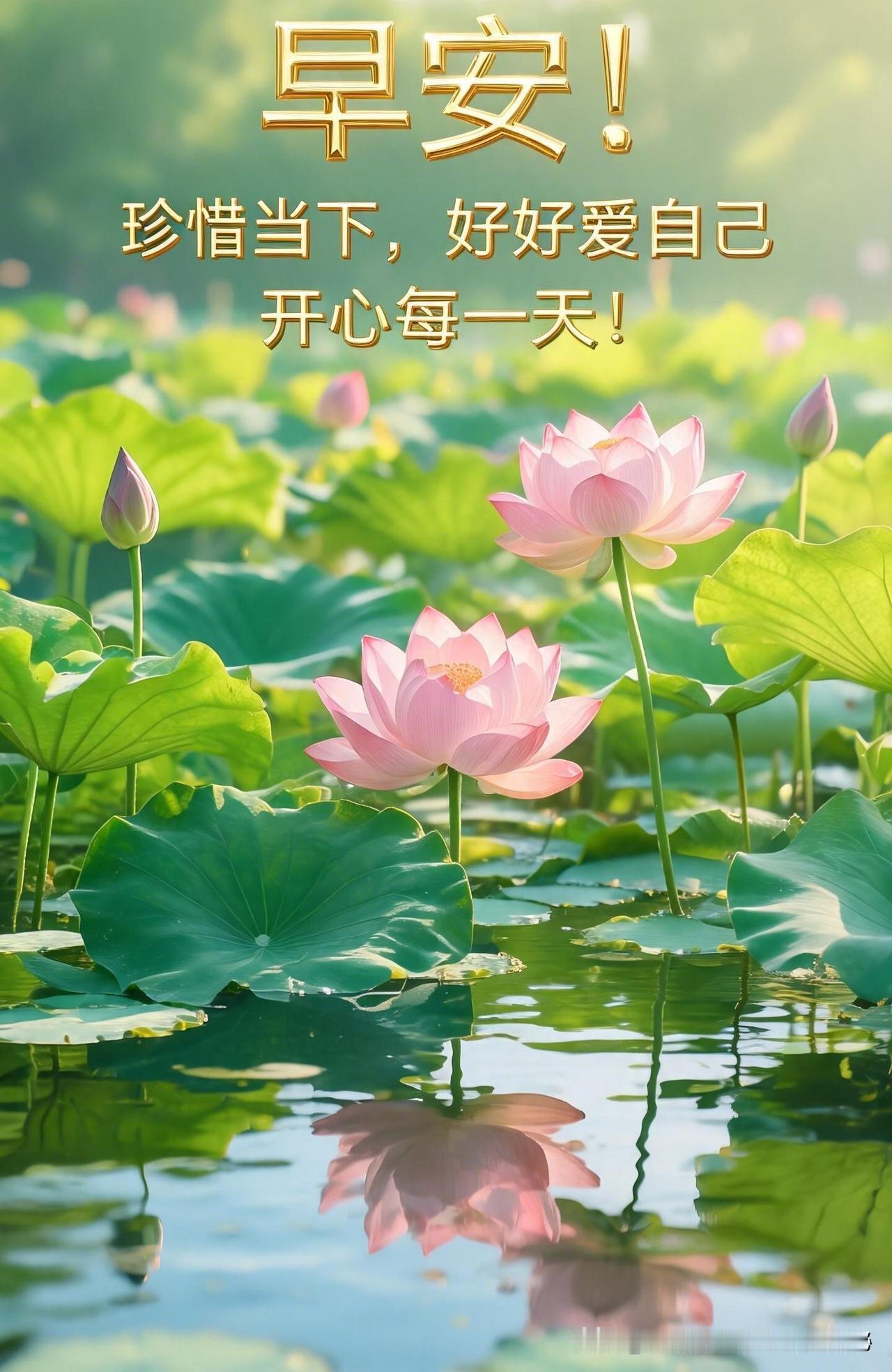 早安！珍惜拥有的今天，爱好自己，笑对生活每一每天。
醒来都是新的开始，就像开盲盒
