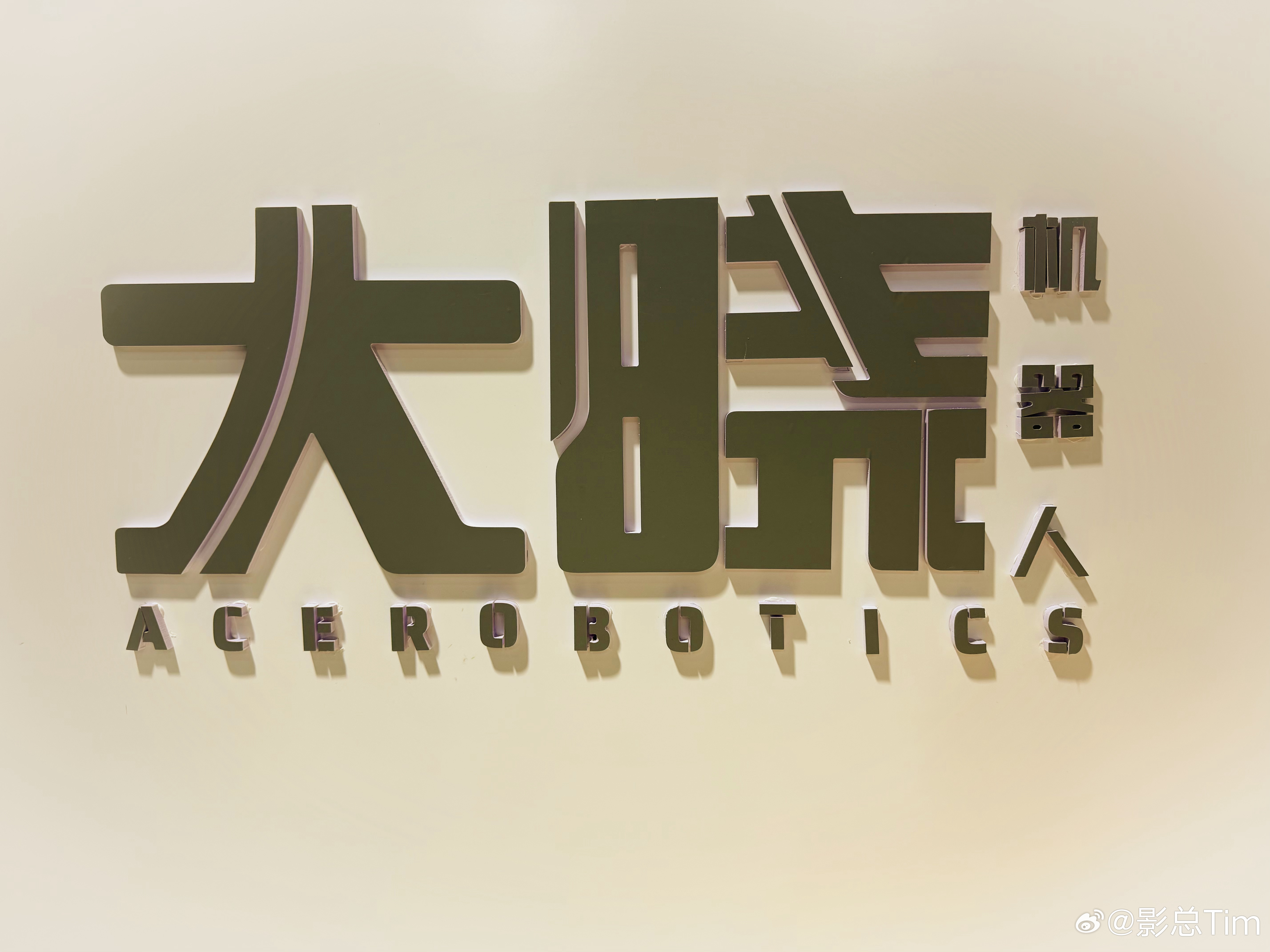 今天是逛展的一天，中国具身智能机器人产业大会，这个热度可比车展高多了，其中最火的