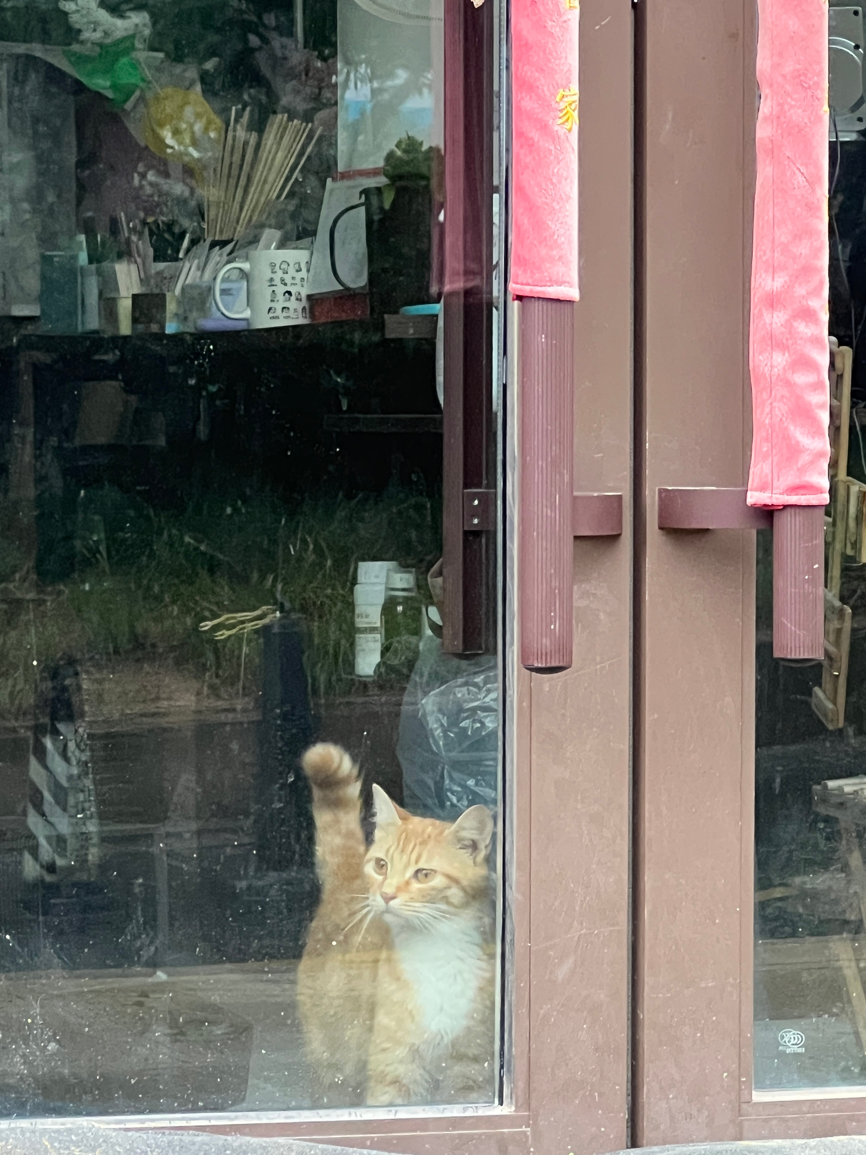 喵呜 