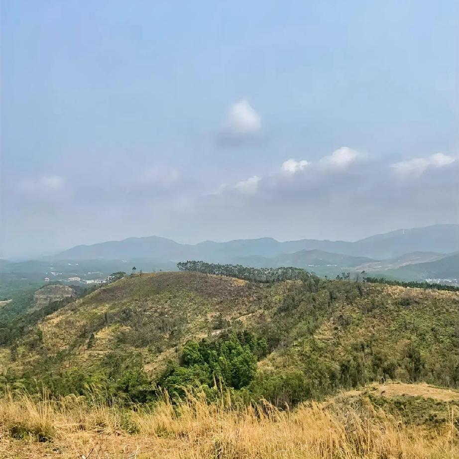 如果真有地府，真有阴间银行，
那我们烧去的、攒的心意，
一股脑全都汇过去，
想让