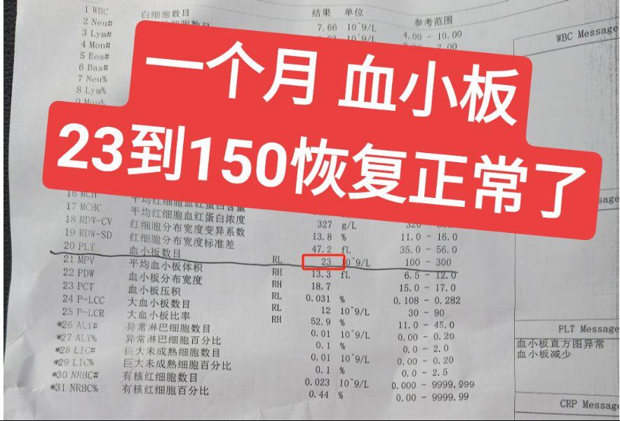 血小板减少症，调理一个月 从23 升到 150+，已经恢复正常！  大...