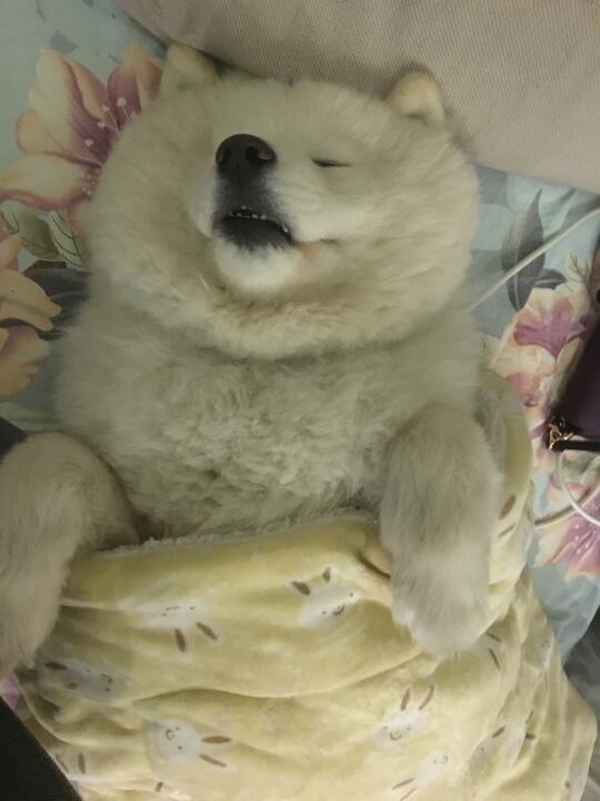 拼好抱的话，姐姐们还是选择我吧！