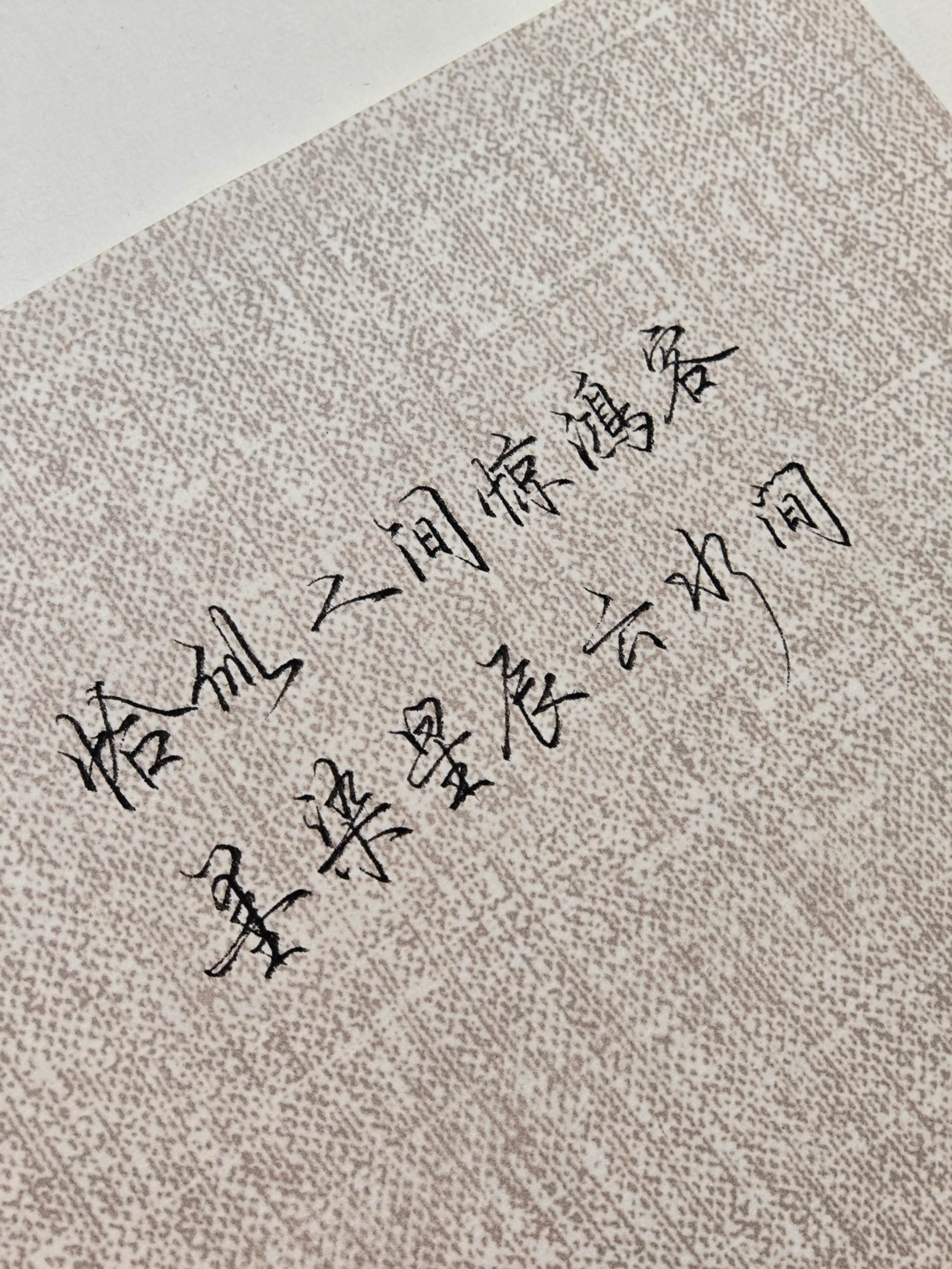 恰似人间惊鸿客，墨染星辰云水间。