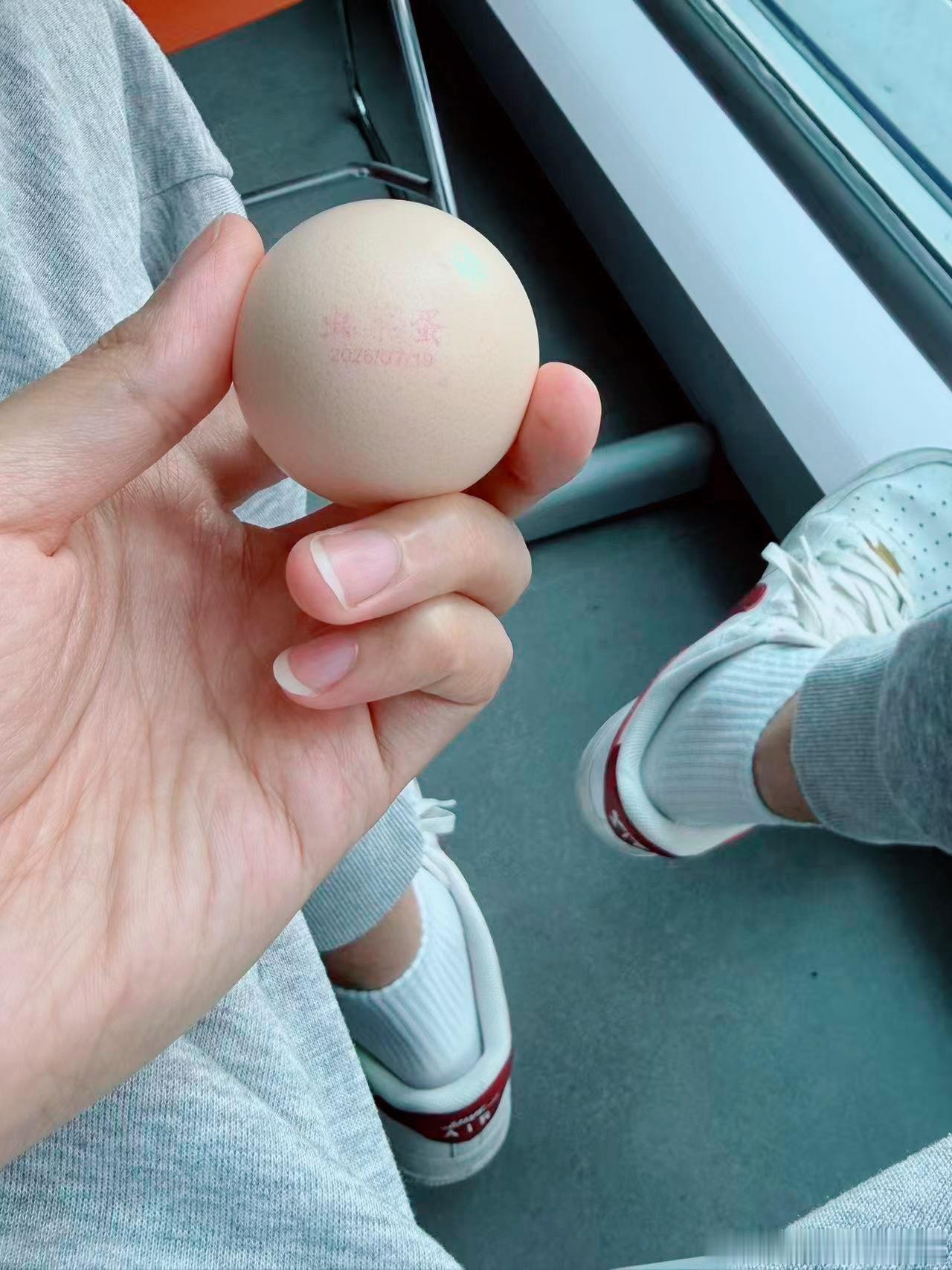 要不要吃一口我的蛋