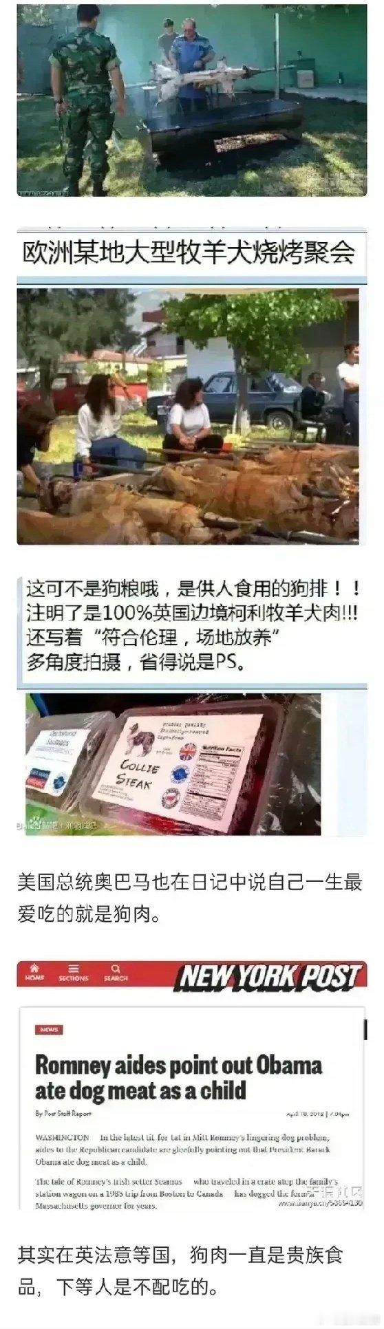 哇哦~欧美人原来也吃狗肉啊 ​​​