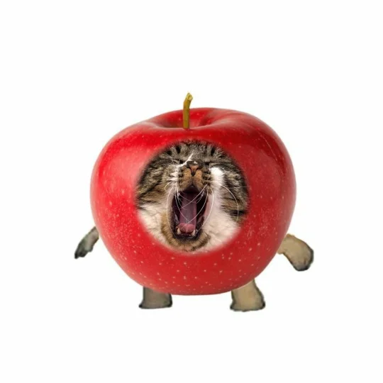 换了新头像 不要不认识我们抓抓了