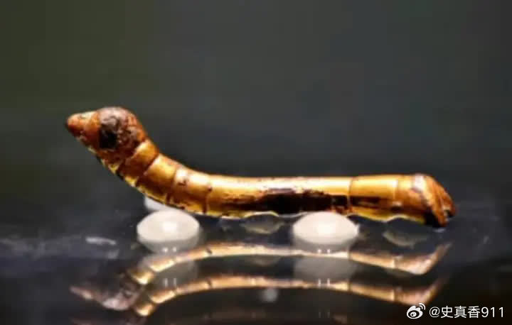 1984年，陕西石泉，一男子来到村民谭福全家，看着桌子上的金虫子内心狂喜，脸上却