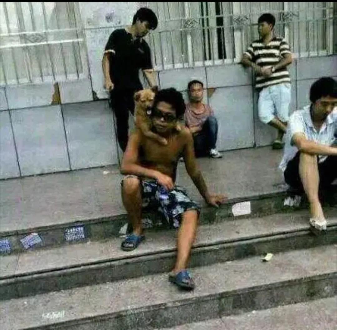 让烂泥成为烂泥；
让死猪成为死猪；
让破罐成为破罐；
让咸鱼成为咸鱼
让朽木成为