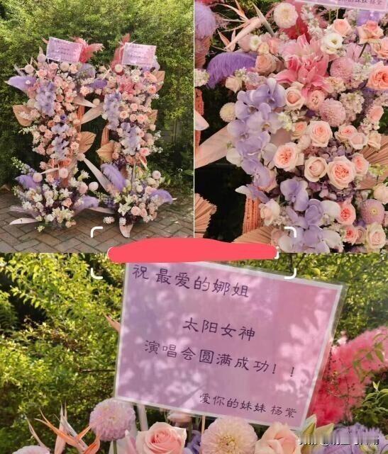 从现场情况来看，送花篮的明星数量很多，涵盖了综艺、影视等多个圈子。快乐家族、赵丽