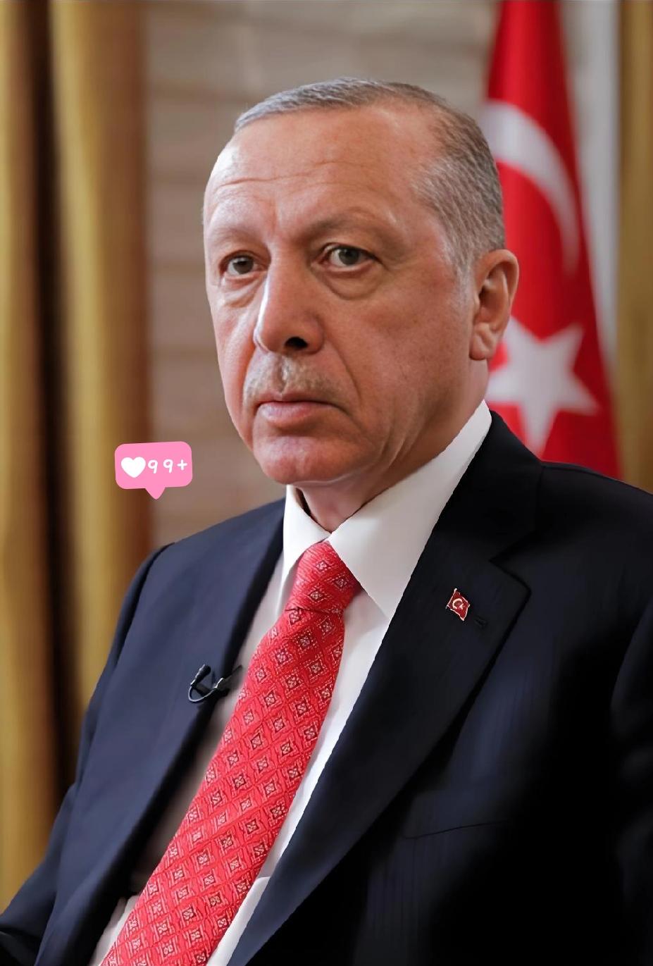 据环球时报报道！
2025年12月31日，土耳其总统埃尔多安通过《官方公报》正式
