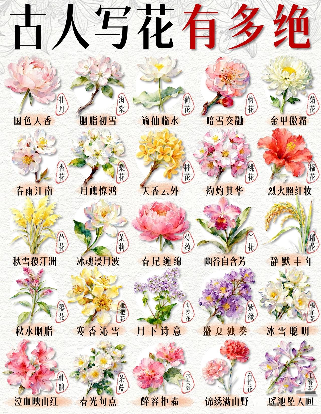 古人给花取的名字，美到能当文案！20种花卉雅称图鉴，收藏直接用

你还在说“这花