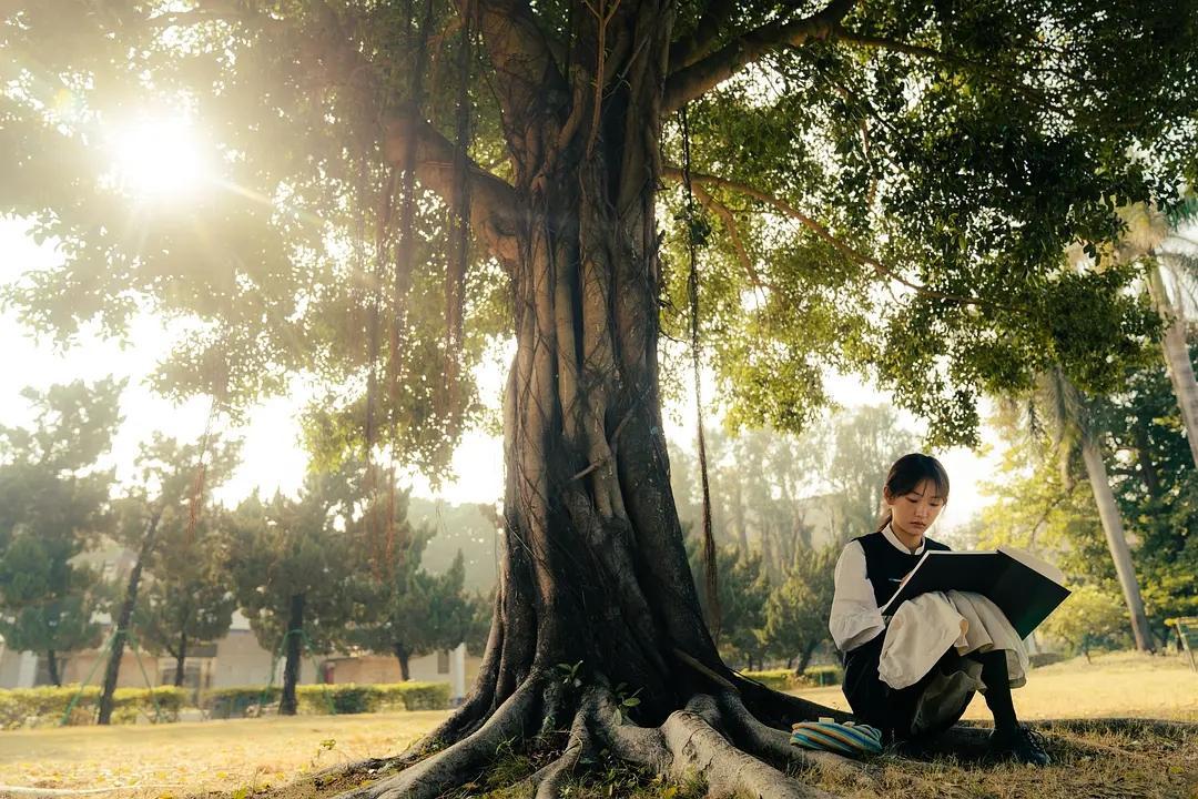 “热度不高，但口碑炸裂”的五部剧，你要是一部没看，那就太可惜

第一部《三悦有了
