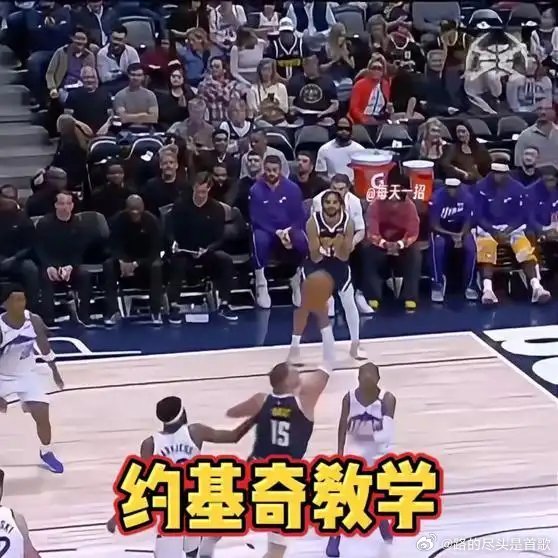 《约基奇打球聪明瞬间，也展示了他柔和的手感》播放量：197作者：每天一招网页链接