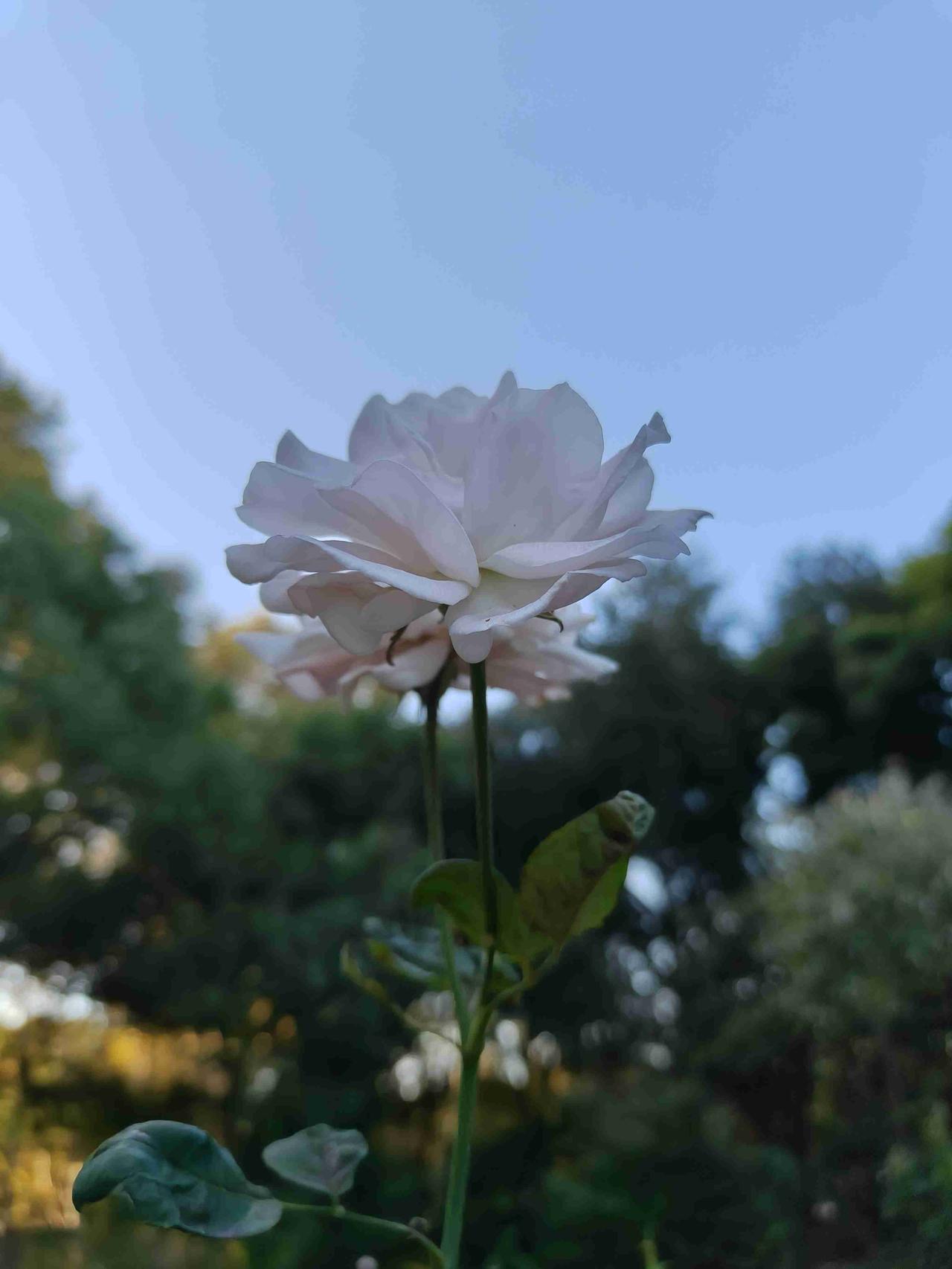 我的今日状态：😁轻松愉快
我这里的天气：☀️晴天