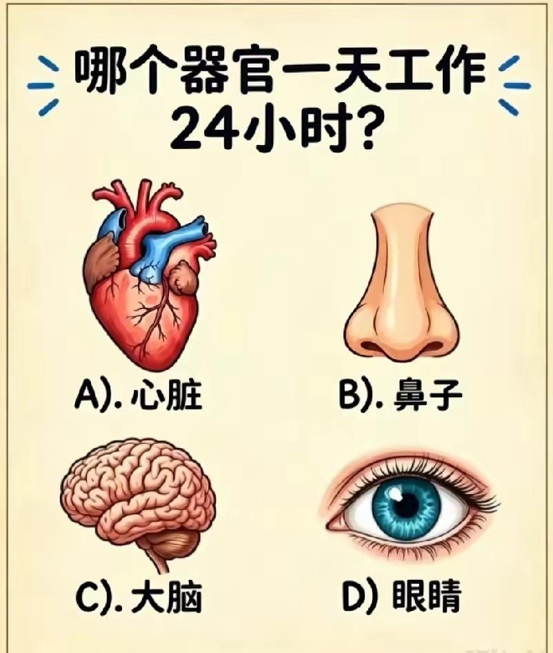 这些器官每天陪伴着你并不陌生？而且是不可能离开的东西。但是你了解它们吗？不许查，