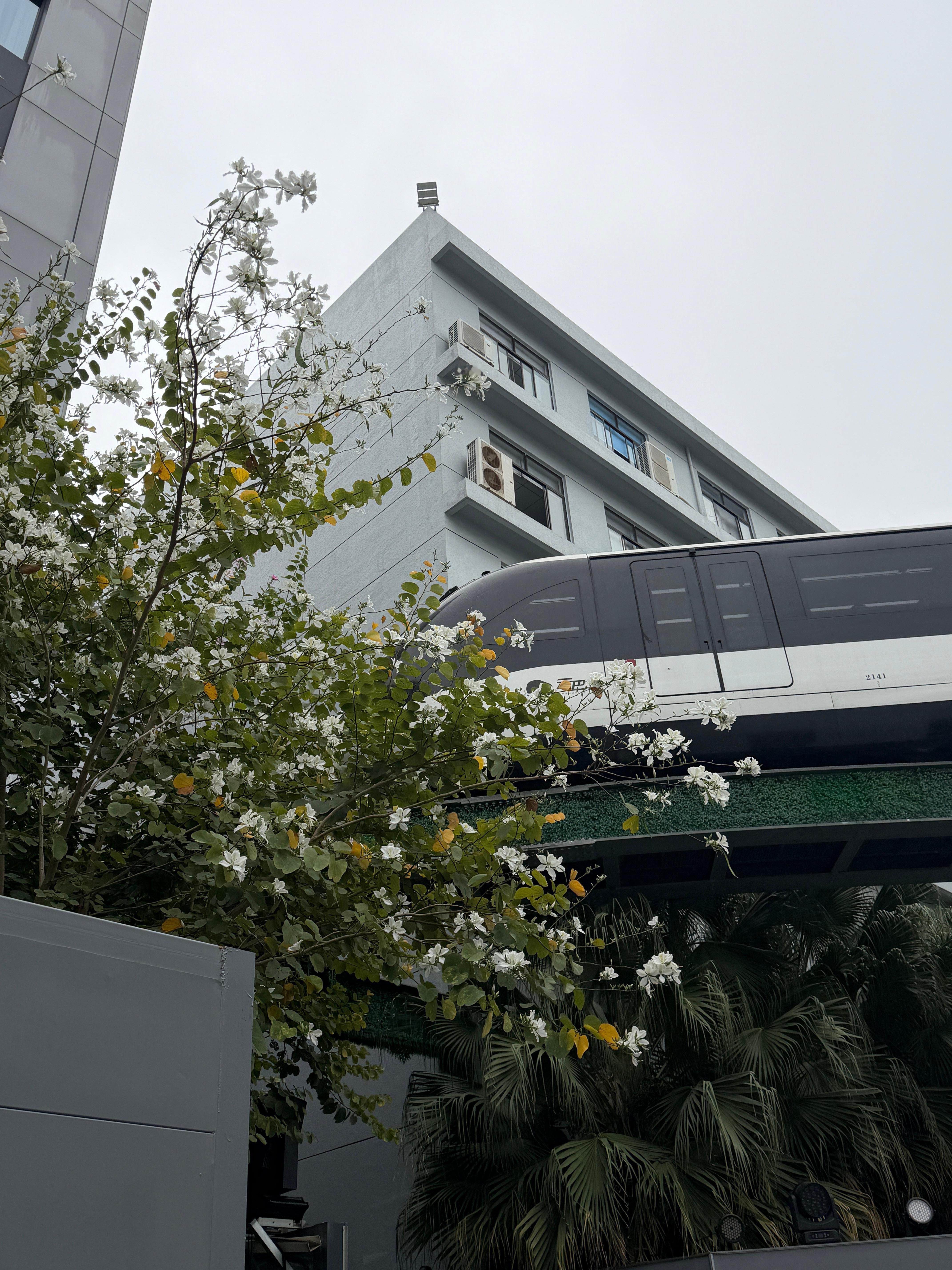 早上好～预告一下，特别NB！！大家一定要期待一下大v聊车 深圳·比亚迪六角大楼