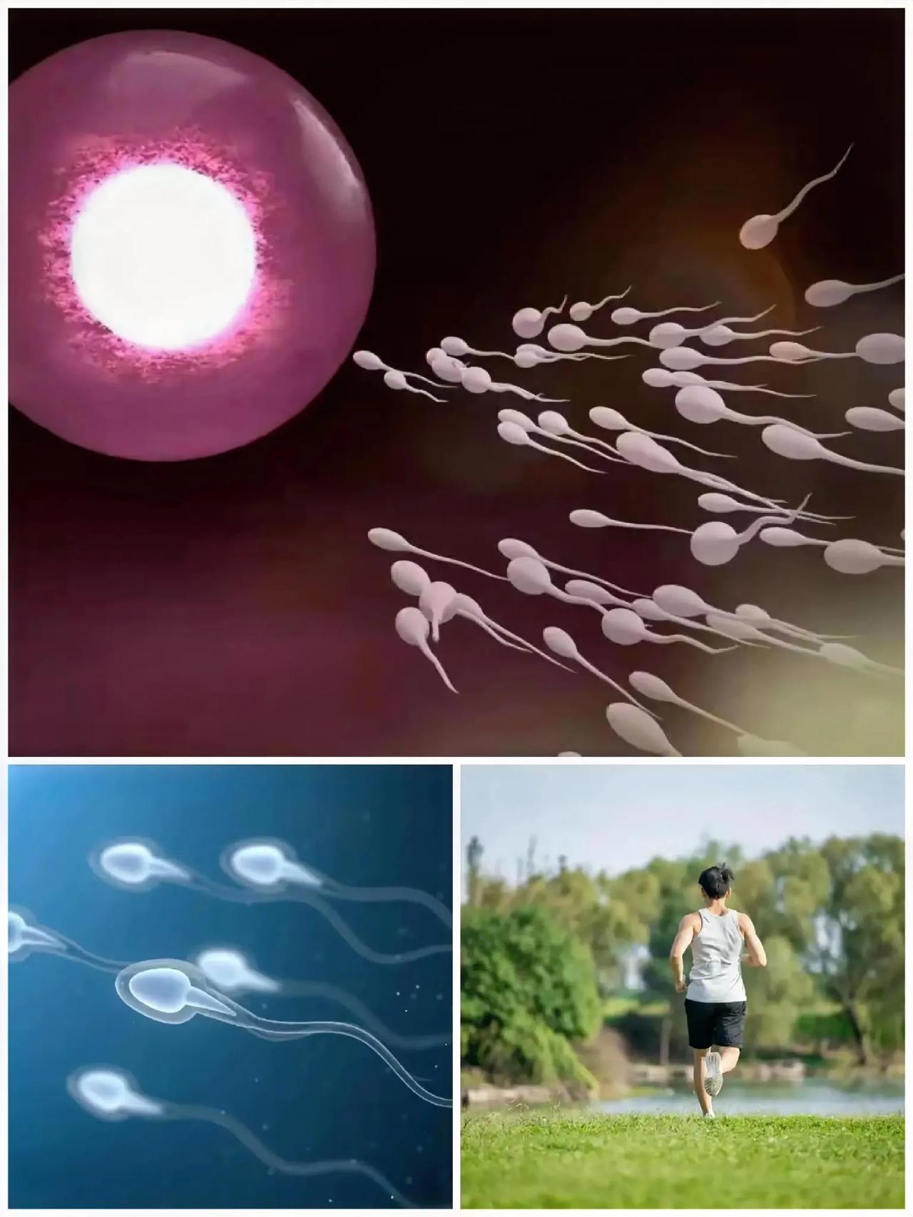 ​男性“禁欲”大解密：一生只有6000次？你的“小兄弟”还有多少次？



大家
