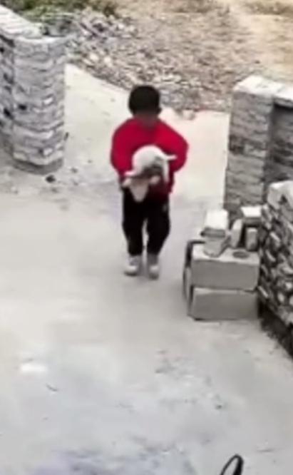 这波操作都看傻了。