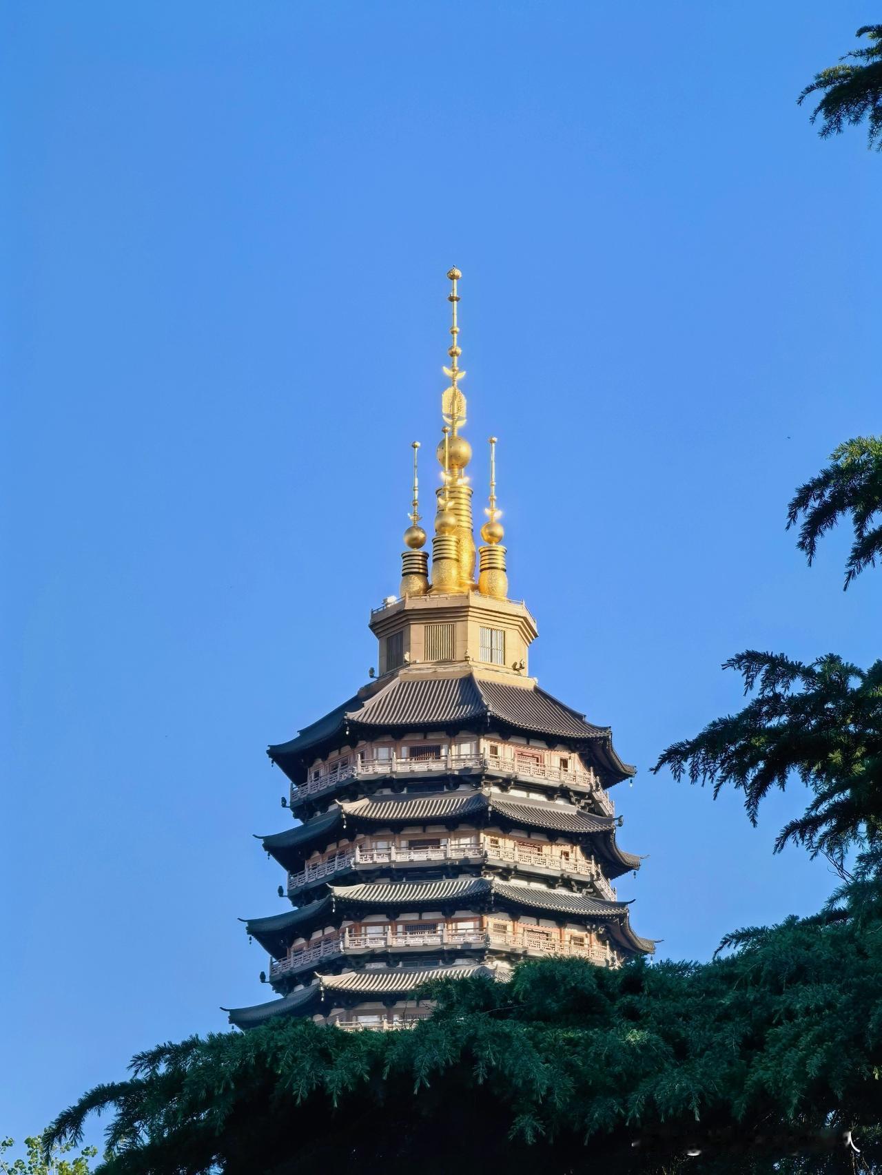 浅夏清晨，从红梅公园里看天宁宝塔塔尖，金光闪闪，青松蓝天。
