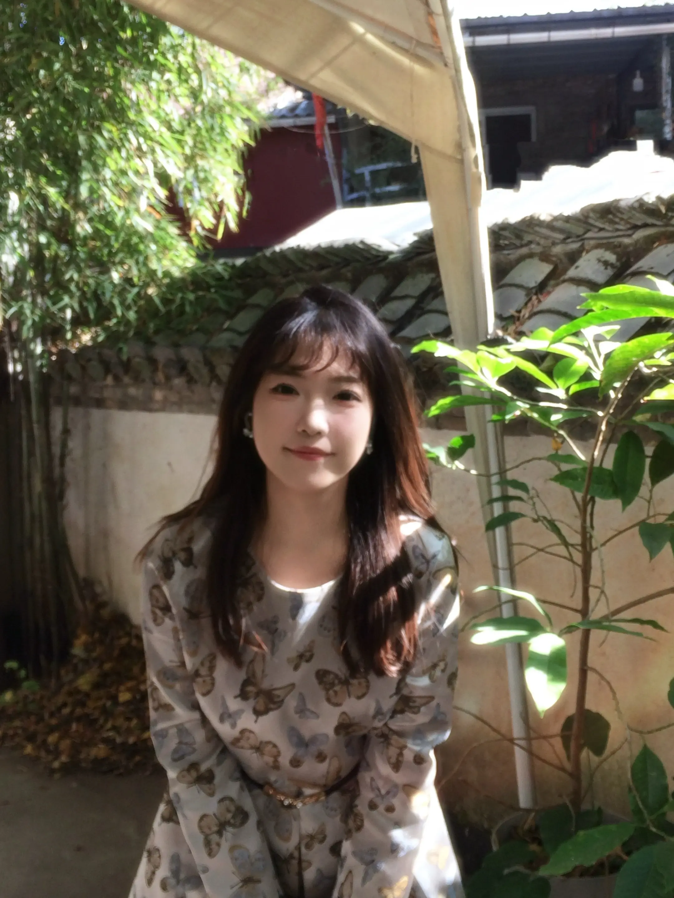 深浅小巷 青砖黛瓦。