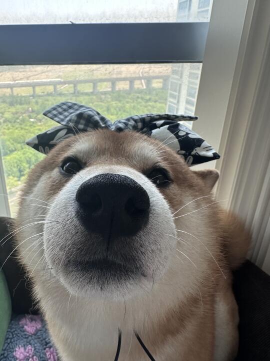 吻我