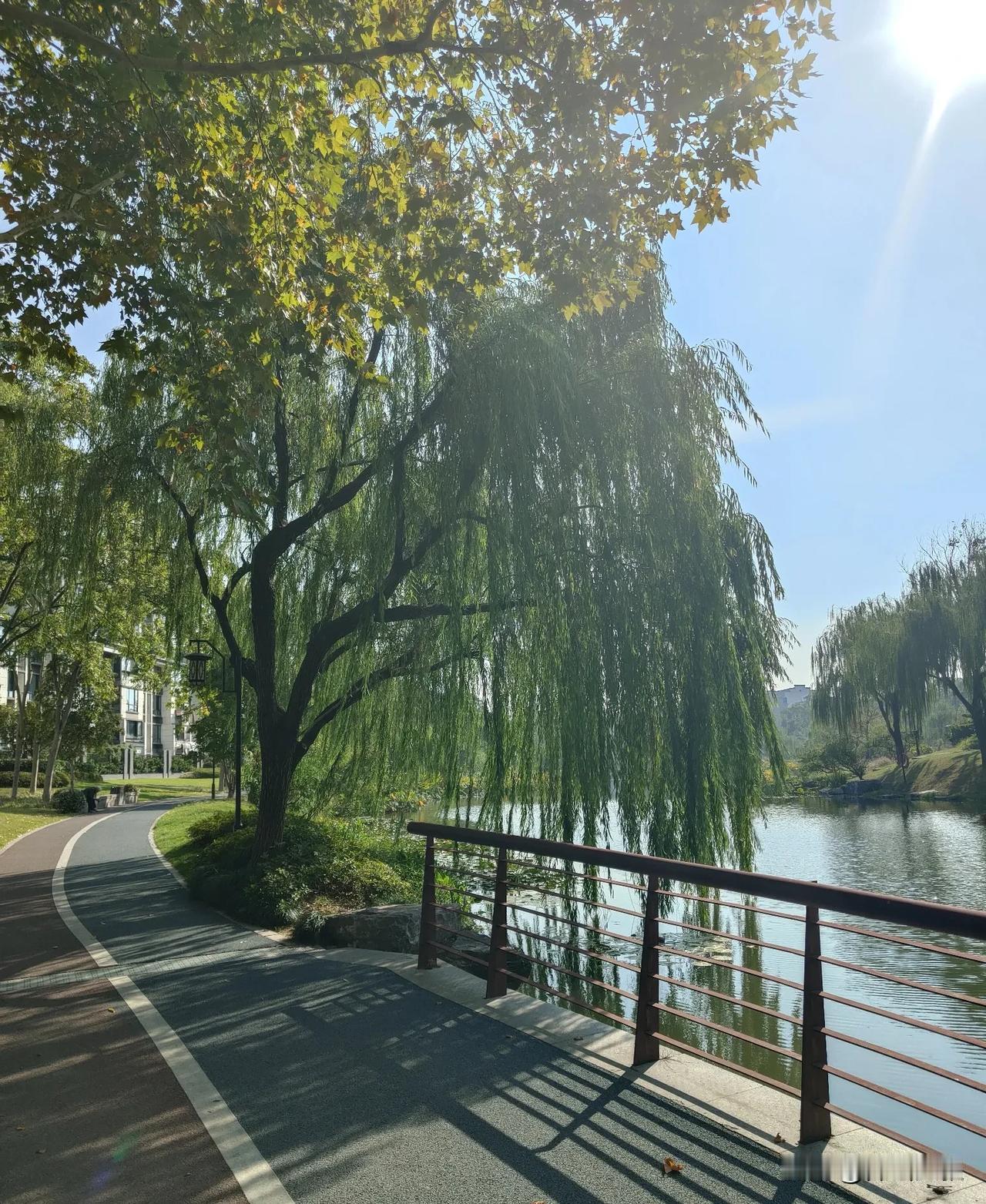 凡事从自己身上找原因，是一个人最顶级的修行
《道德经》说：“知人者智，自知者明。
