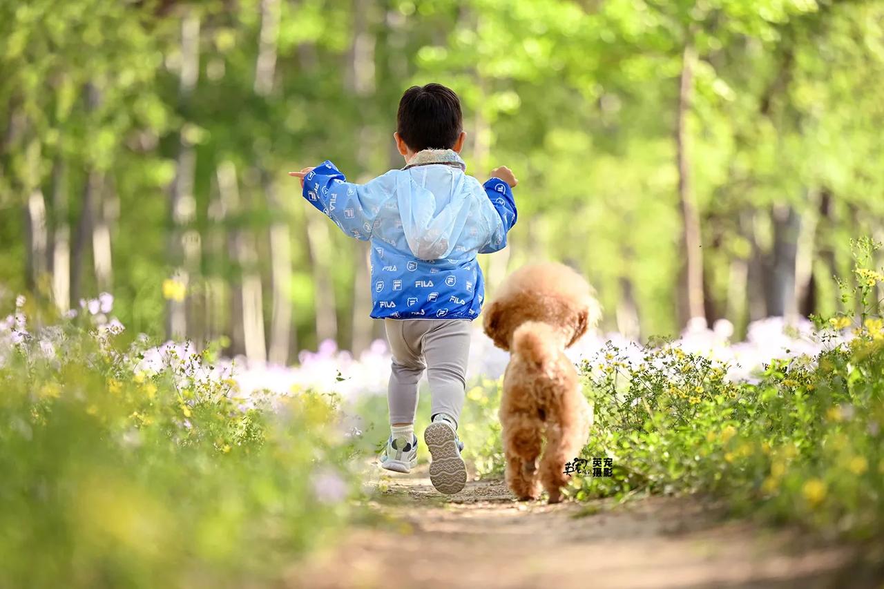 开心，其实是不需要看脸的🥰
【花季拍摄】