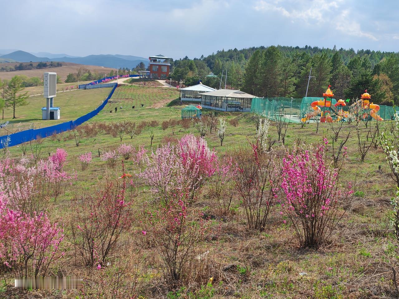 记录我的2026