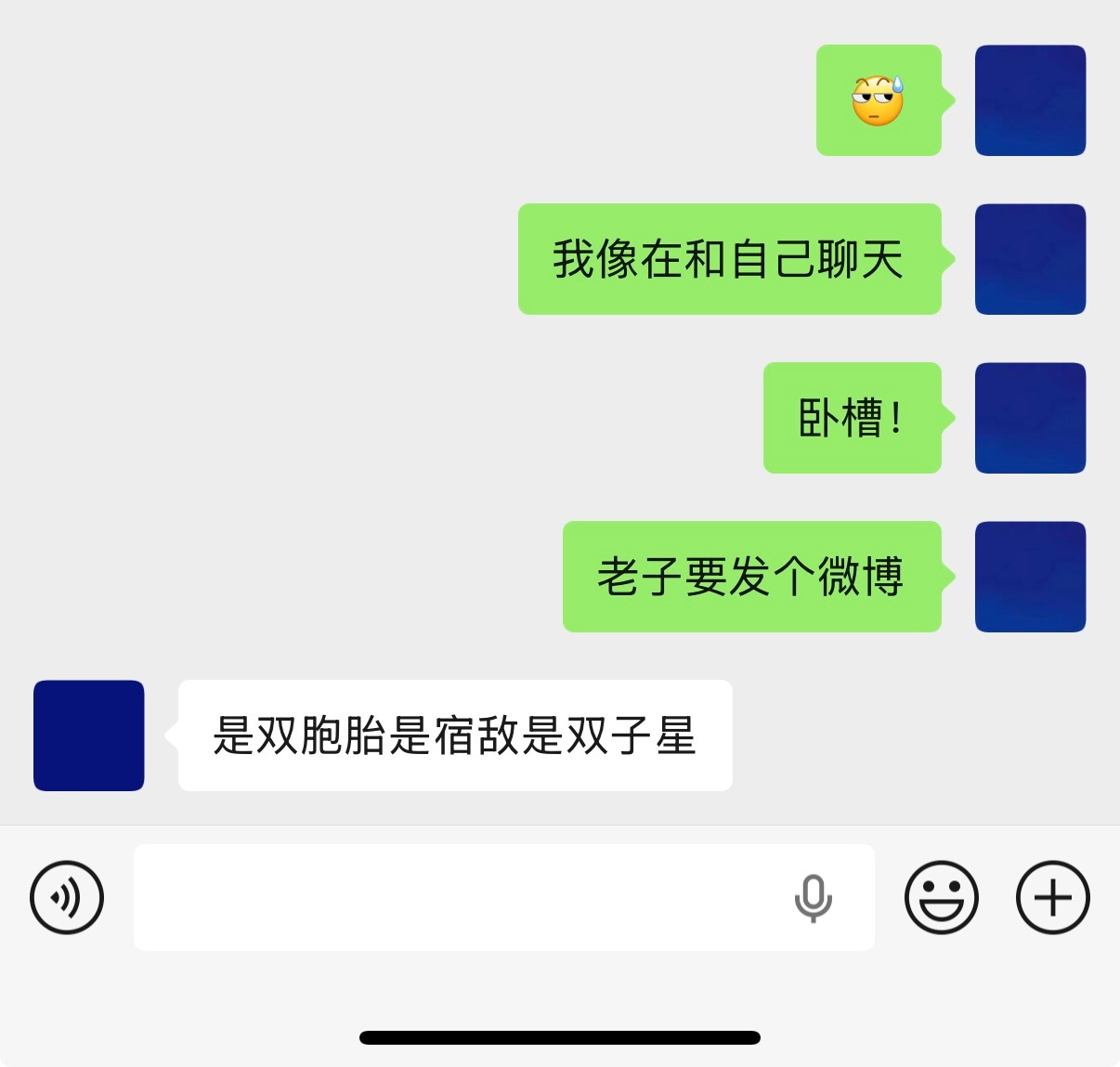 蓝头双生子呗，姐妹？