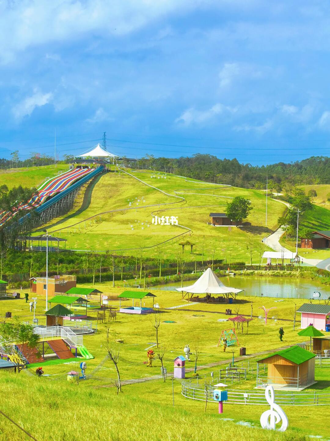 后悔没早点来‼️深圳周边草原游乐园太好玩了