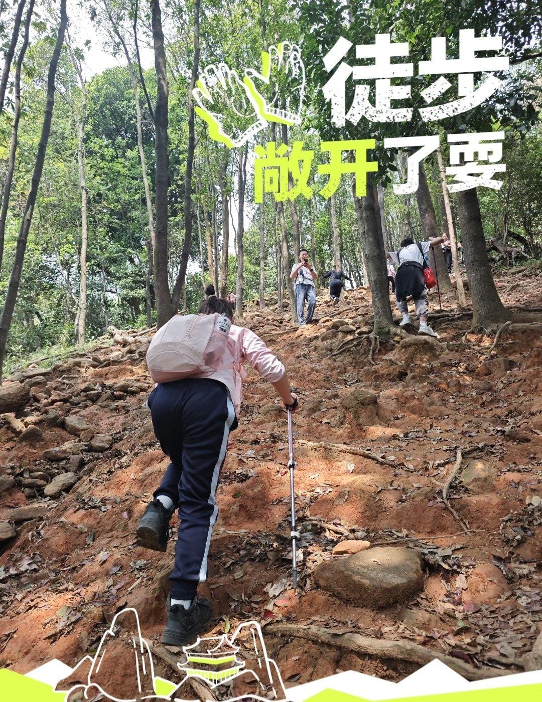 每周一山‼️反穿绝命坡[嘿哈]
📍广州 鬼王山
上一年绝命坡下山走了快1个小时