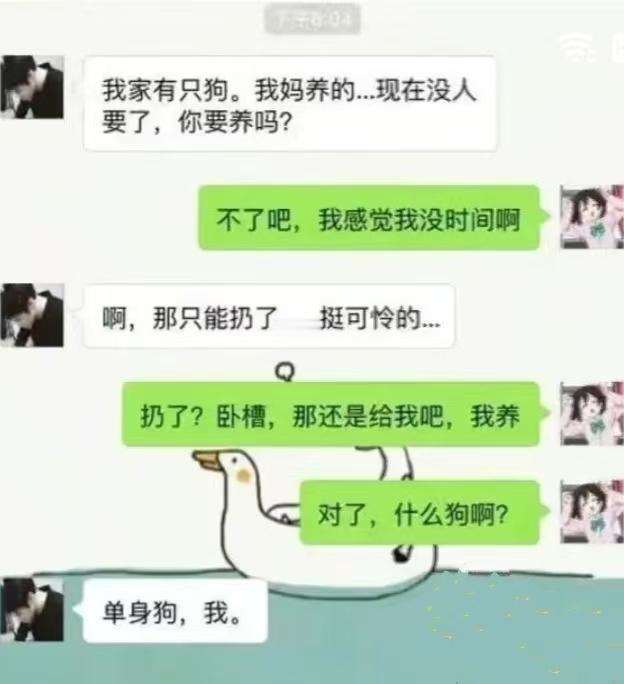 这品种的狗适合室内养殖么？ ​​​