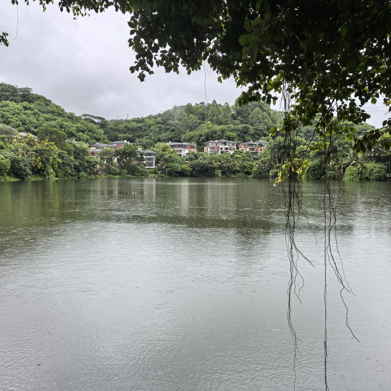 七律  无题（八九）

瑶琴叹柳钓波闲，
曲调缠绵伴月寰。
我问青山何日老，
青