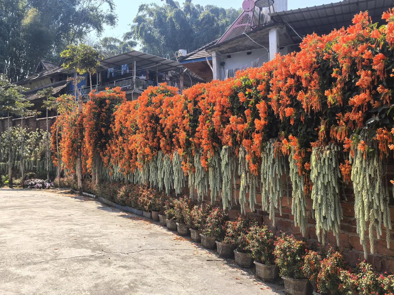 日本最好的出路，就是做东亚后花园。日本这几天又在闹地震，对日本来说，这都已经是家