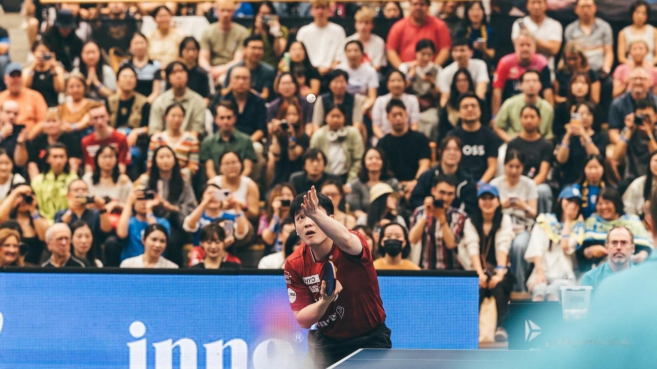 樊振东12月德甲首秀 期待德甲，期待欧冠