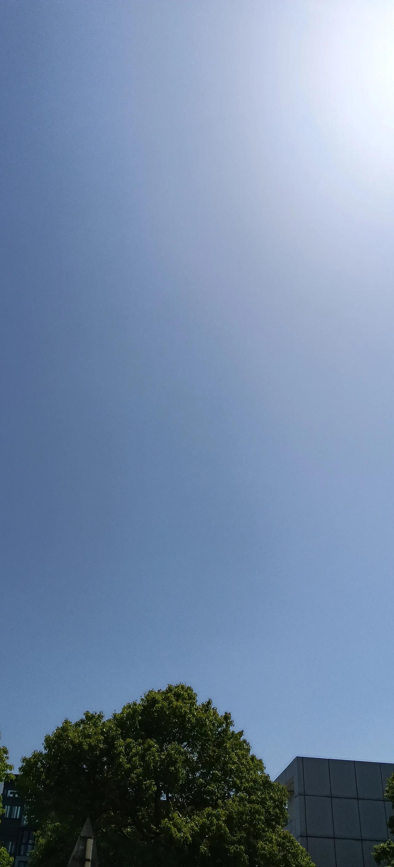 出门抬头望，天空自带氛围感，简单的风景，就能治愈一整天的疲惫。
晒图赚现金
 
