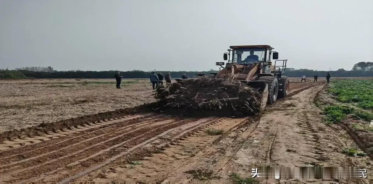 近日，关环高速岐山至凤翔段大面积开始施工，目前地面附着物基本清理完毕。

春节回