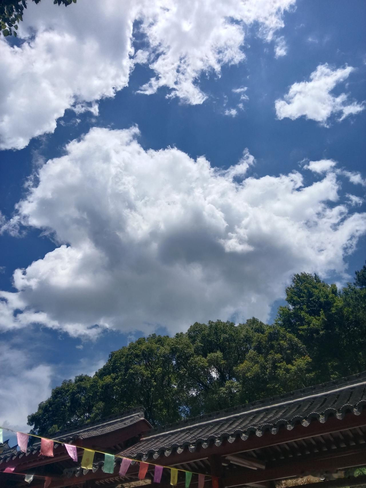 怎么能保证捐的钱,都用在慈善上? 怎么能保证捐的钱，都用在慈善上？这不过是一个美