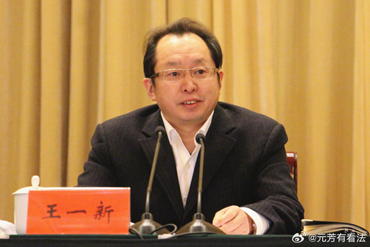 纵观王一新的仕途，可谓春风得意，尤其在早期的晋升通道中，要风得风要雨得雨。王一新