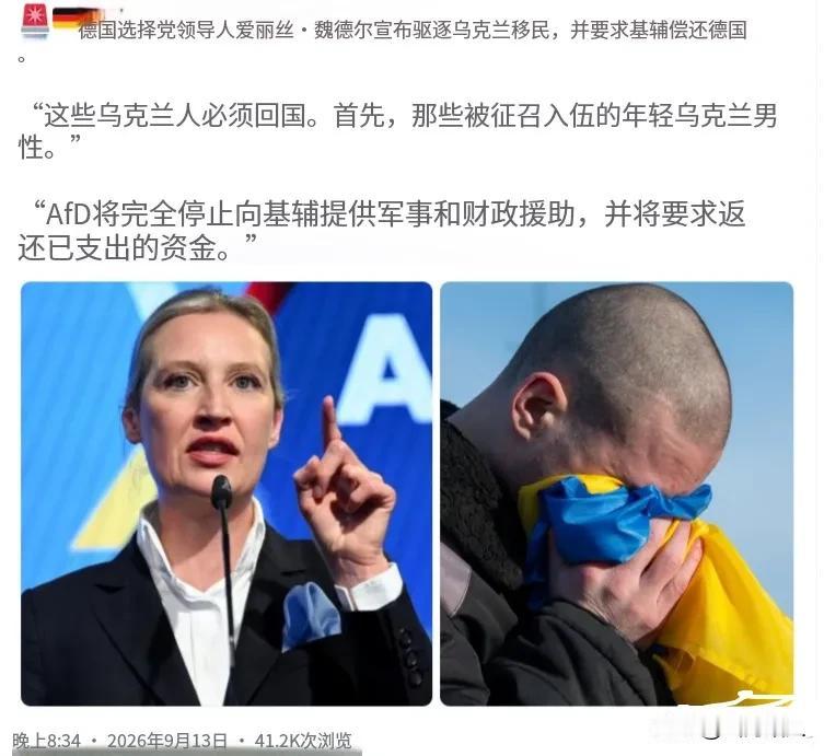 现在最让泽连斯基害怕的事情，就是德国选择党的魏德尔上台执政了！
 

眼下，最让