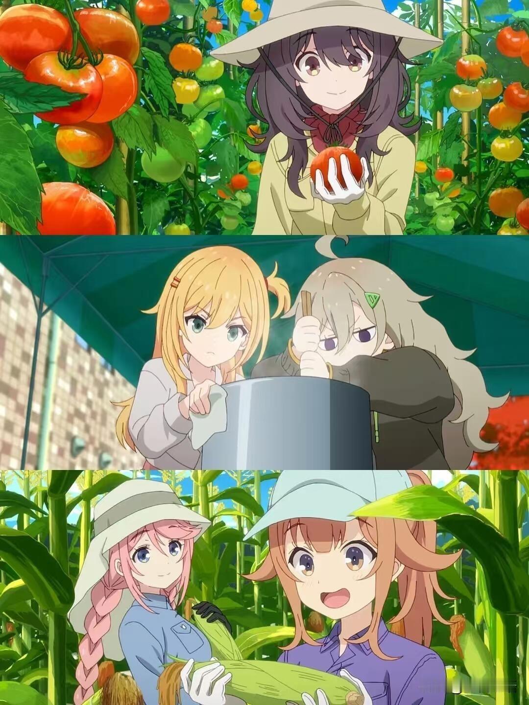 都快去看这部美食治愈番！
这才是我理想中的大学生活啊✨
《时光流逝，饭菜依旧美味