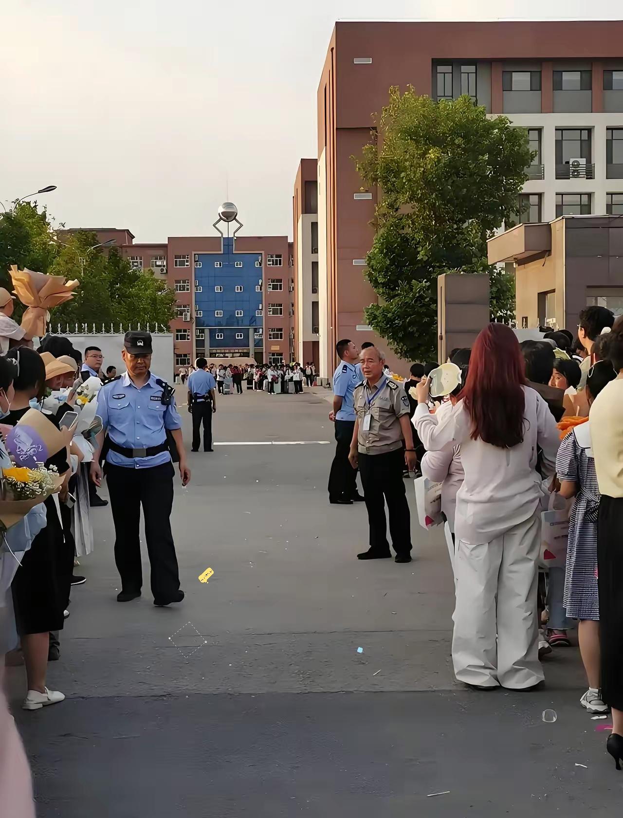 高考不重要了吗？
​感觉是因为，越来越多人意识到，中国人的一生就是竹节虫转世——