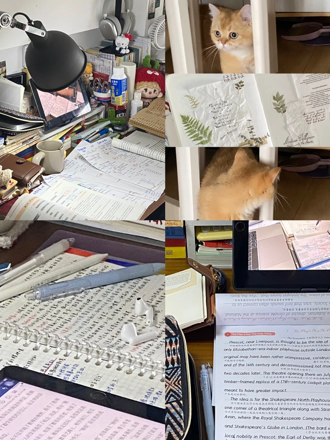 梦想摊了一桌