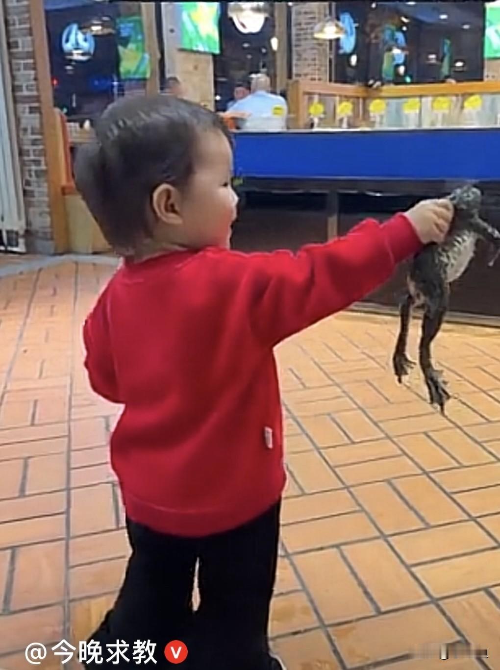 近日，辽宁一宝妈和宝宝在餐厅里，宝宝真是胆大，初生牛犊不怕虎，直接拿起一个牛蛙就