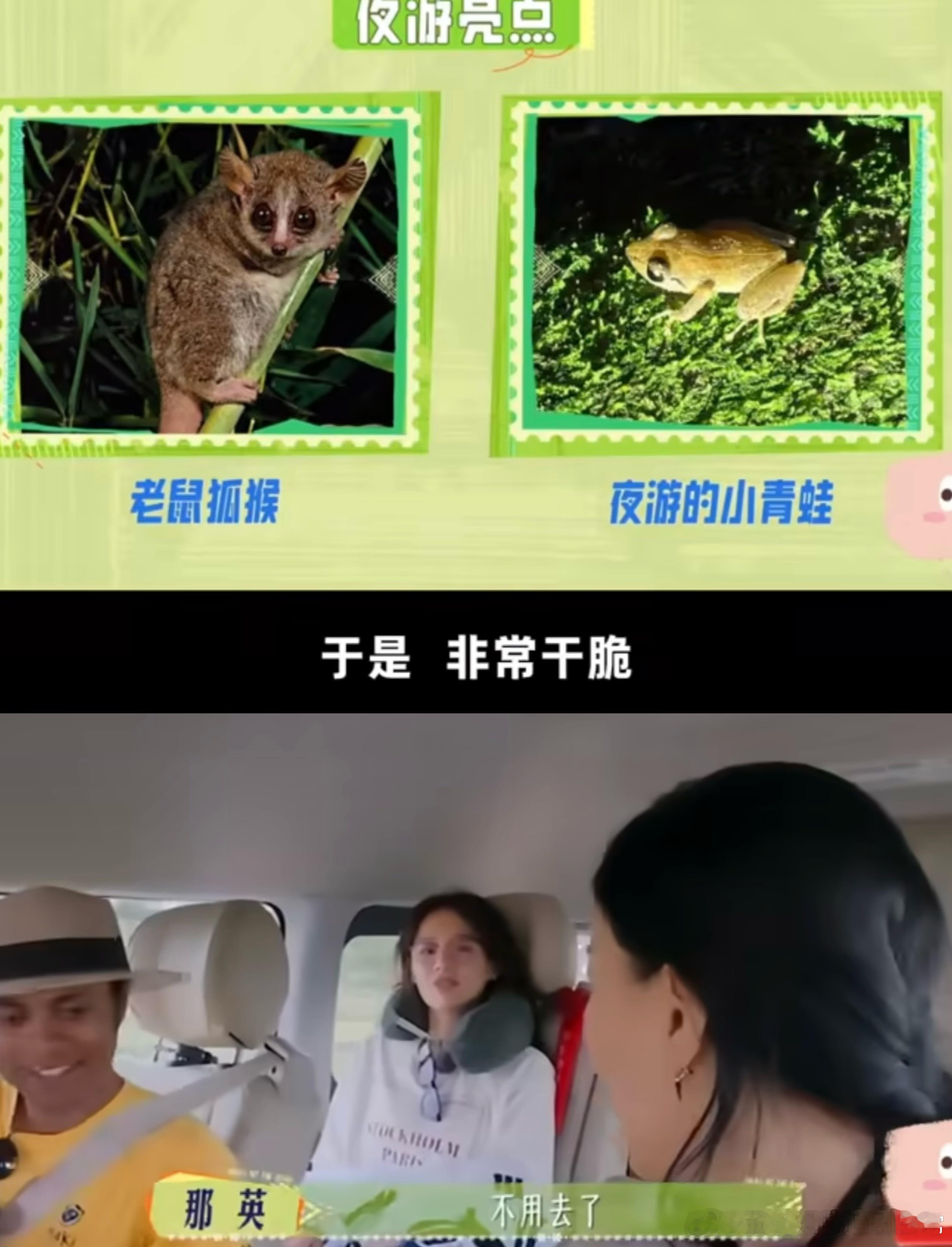 那英不是高情商而是真诚看了花少谁能不被那英的真诚所打动，温暖且细腻，在出现问题时