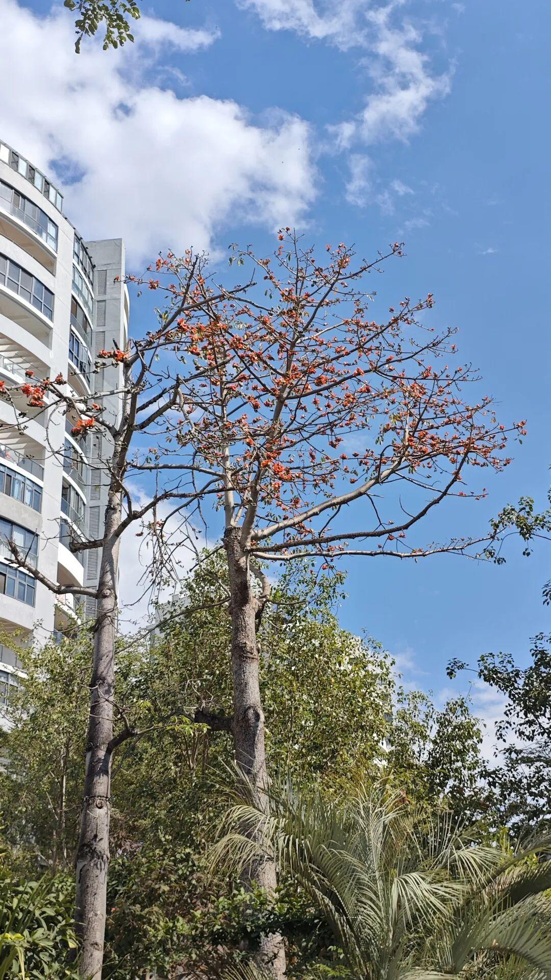 记录我的2026星期天啦，早点起来给孩子改善一下生活。人间最美的四月天来了。不过